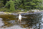 Image description